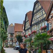 Profesora de Apoyo en asignaturas de contabilidad, para grados de Administración